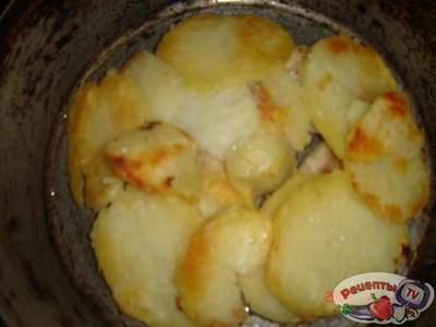 ���� ��-�������