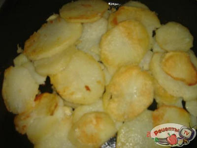 ���� ��-�������