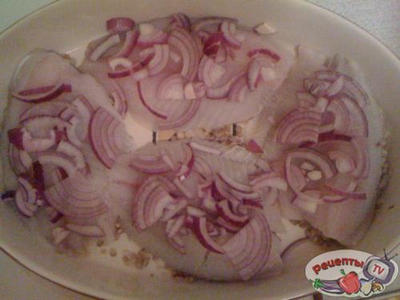 ���� ��-������