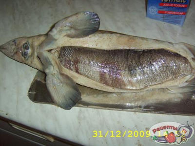 ���� ��-������������.