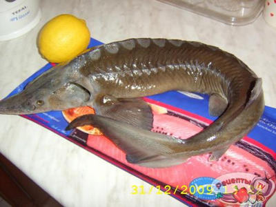 ���� ��-������������.