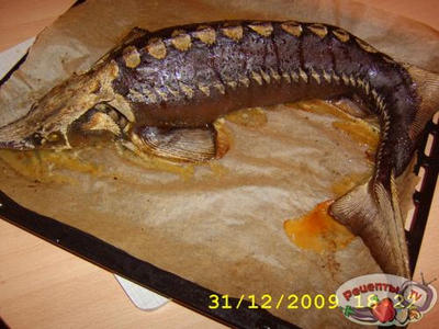 ���� ��-������������.