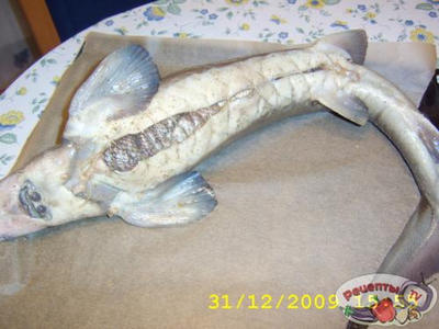 ���� ��-������������.