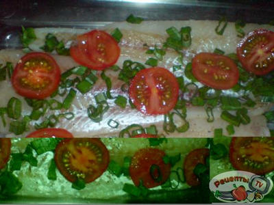 ���� ��� ��������-������ ������