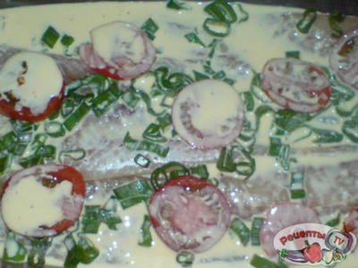 ���� ��� ��������-������ ������