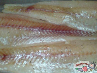 ���� ��� ��������-������ ������