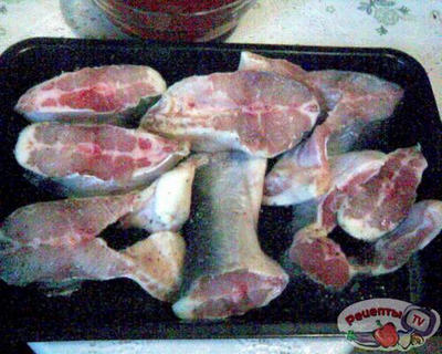 ���� � �������� ��� ��������