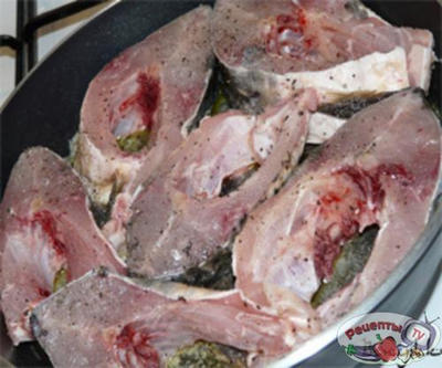 ����, �������� � ����� ���� � ����� �������