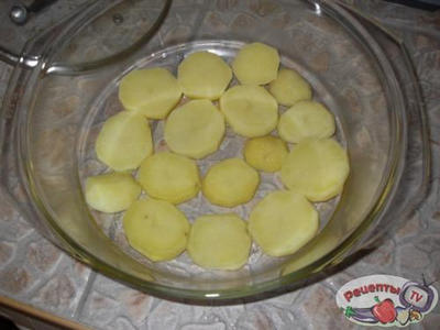 ���� � ��������� �����