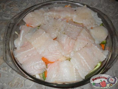 ���� � ��������� �����