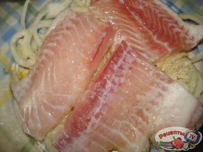 ����, ��������� � �������