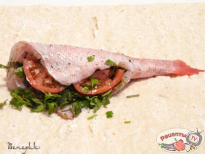 ����, ���������� � ������