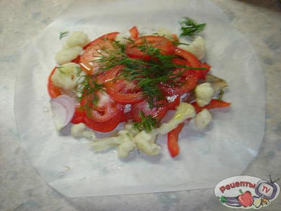 ����, ���������� � ���������� � �������