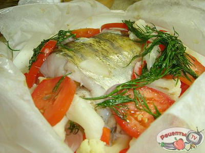 ����, ���������� � ���������� � �������