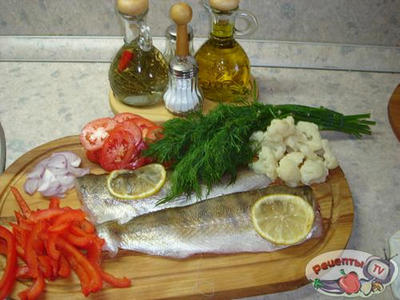 ����, ���������� � ���������� � �������