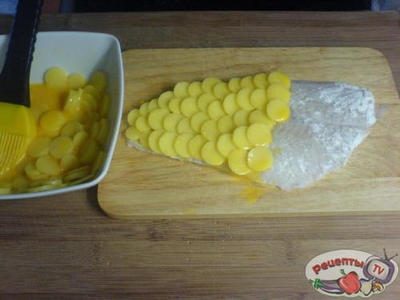 ����� ����������