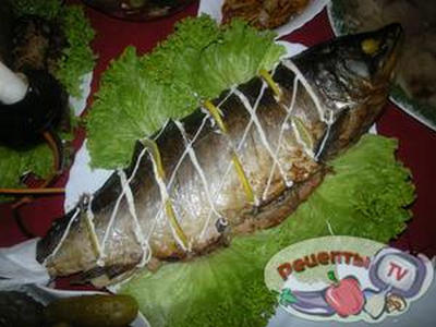 ����� �������������