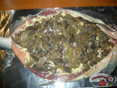 ����� �������������