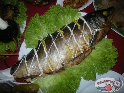 ����� �������������