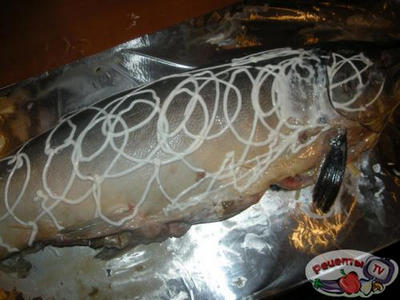 ����� �������������