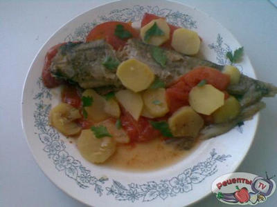 ����� � ������(�������)