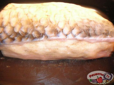 ������ ���� �������������