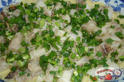 ������ ���� � ��������� �������