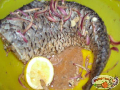 ����� ���������� (��� �������)