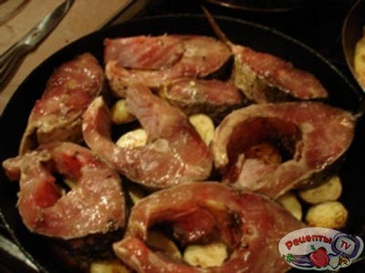 ����� ���������� � �������