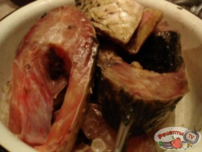 ����� ���������� � �������