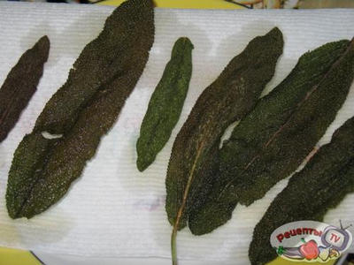 ����� � �������� �������