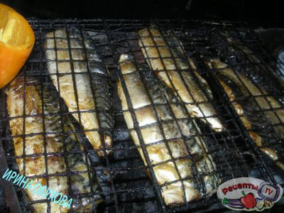 �������� �� �����