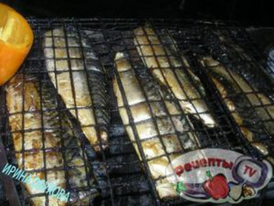 �������� �� �����