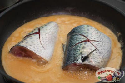 �������� ��-�������: ������� � ����