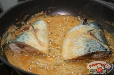 �������� ��-�������: ������� � ����