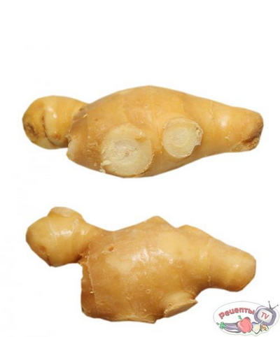 �������� ��-�������: ������� � ����