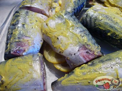 ��������, ��������� � ����������