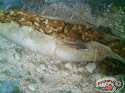 �������� ���������� ������� �..