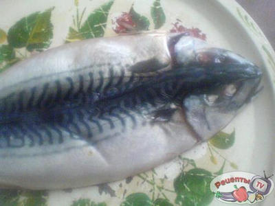 �������� ���������� ������� �..