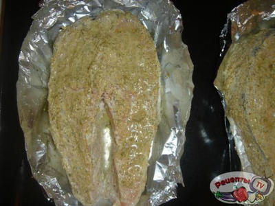 ����� �� ������