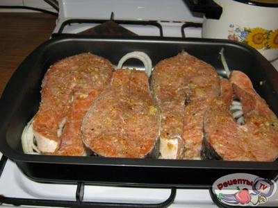 ������ ����� 