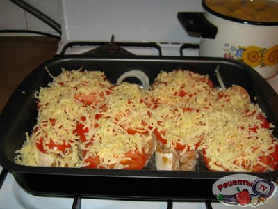 ������ ����� 