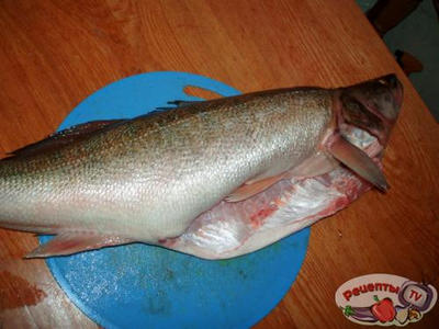 ����� �������������� � ��������...