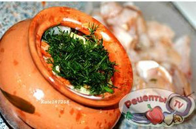 ����� � ��������