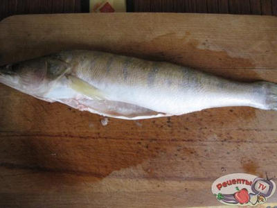 ����� ���������� � ����� � �������.