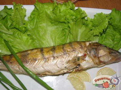 ����� ���������� � ����� � �������.