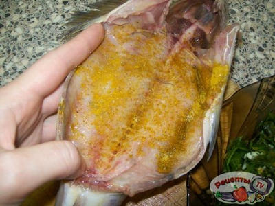 ������ ���������� � ����������