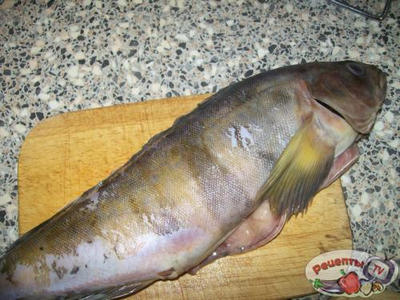 ������ ���������� � ����������