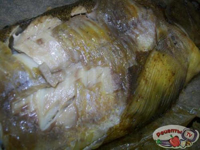 ������ ���������� � ����������