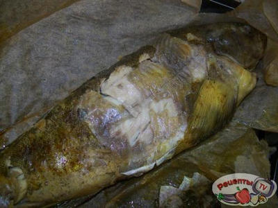 ������ ���������� � ����������